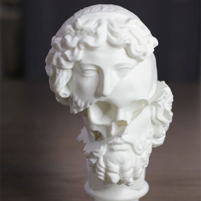 3D Print Flesh Skull Art