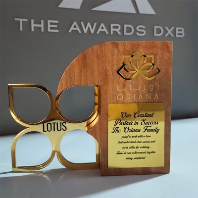 Customized Metal with Wooden Award