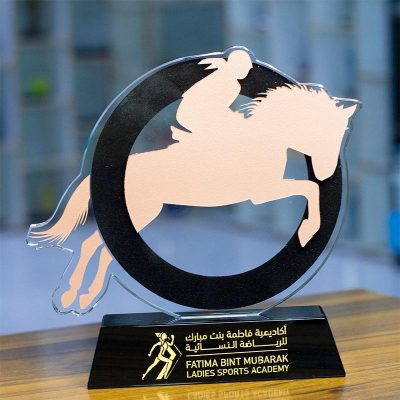 Sports Equestry Award
